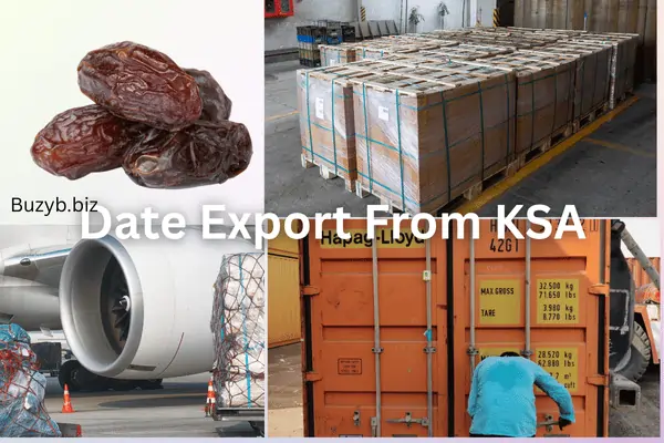 | Export from Saudi Arabia | BuzyB Logistics | BuzyB Shipping Ajwa Dates from Madinah export from saudi arabia image showing process of dates shipping and exporting by air and by shipping container from Madinah to jeddah, and Qaseem via riyadh to oversea shipping